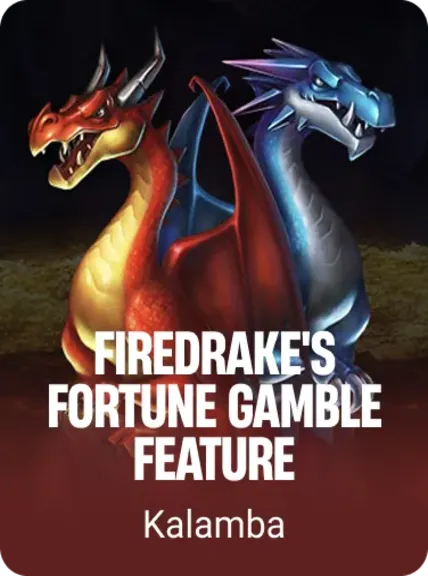 Firedrake's Fortune Gamble Feature