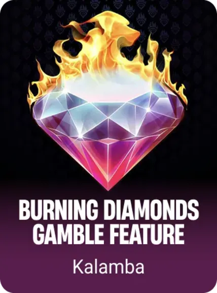 Burning Diamonds Gamble Feature