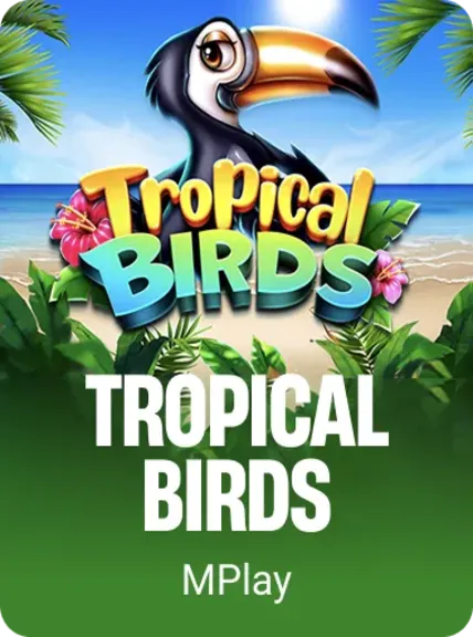 Tropical Birds