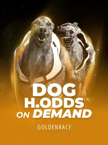 Dog H.Odds On Demand