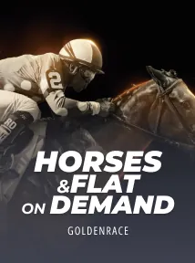 Horses 8 Flat  On Demand