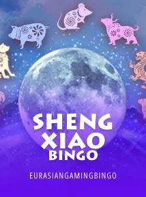 Sheng Xiao Bingo