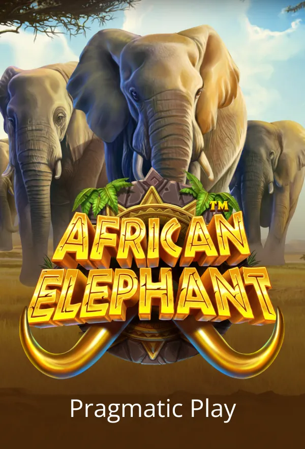 African Elephant