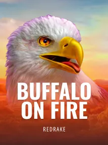 Buffalo on Fire