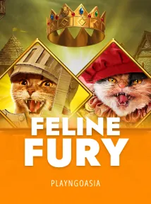 Feline Fury