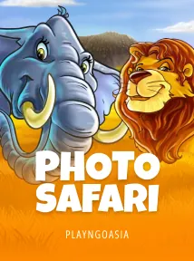 Photo Safari