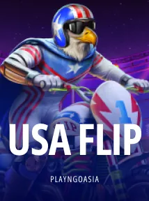 USA Flip