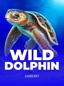 Wild Dolphin