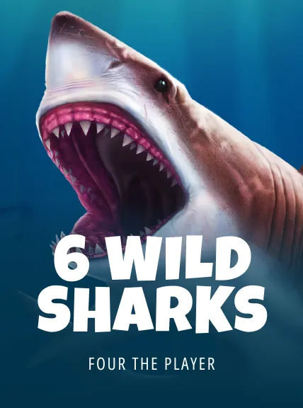 6 Wild Sharks