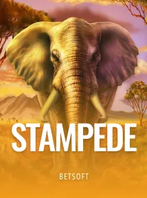 Stampede