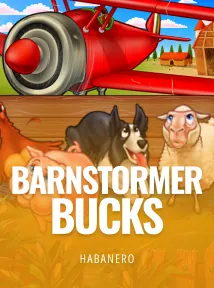 Barnstormer Bucks
