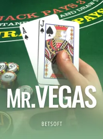 Mr. Vegas