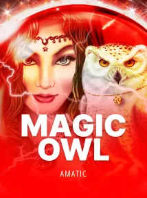 Magic Owl
