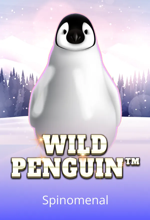 Wild Penguin