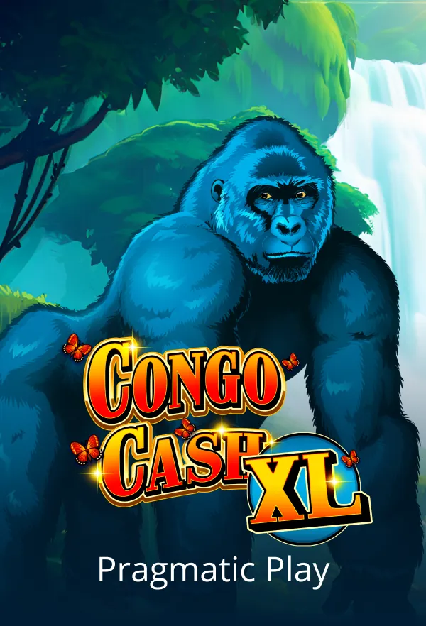 Congo Cash XL