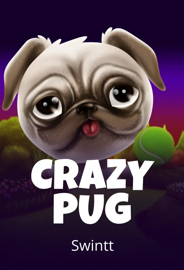Crazy Pug