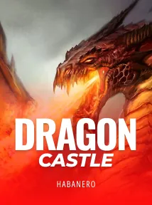 The Dragon Castle
