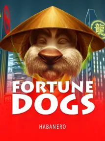 Fortune Dogs
