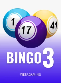 Bingo 3