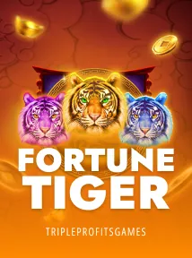 Fortune Tiger