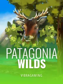 Patagonia Wilds
