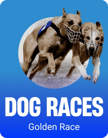 Dog Races