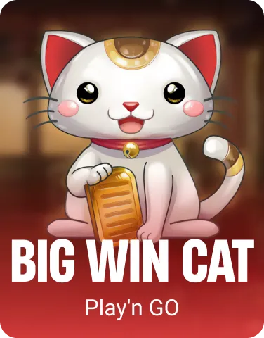 Big Win Cat
