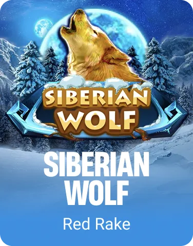 Siberian Wolf