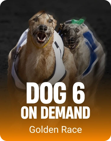 Dog 6 On Demand