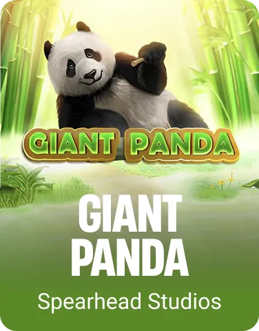 Giant Panda
