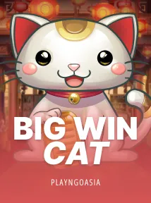 Big Win Cat