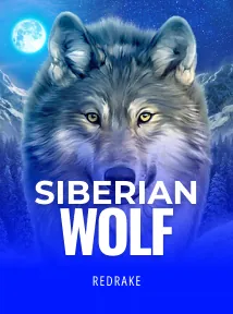 Siberian Wolf