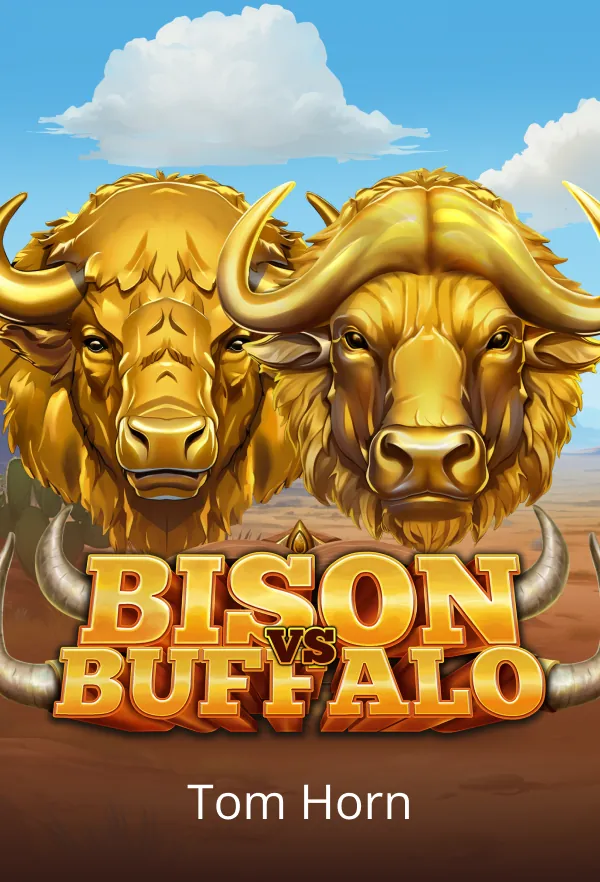 Bison vs Buffalo