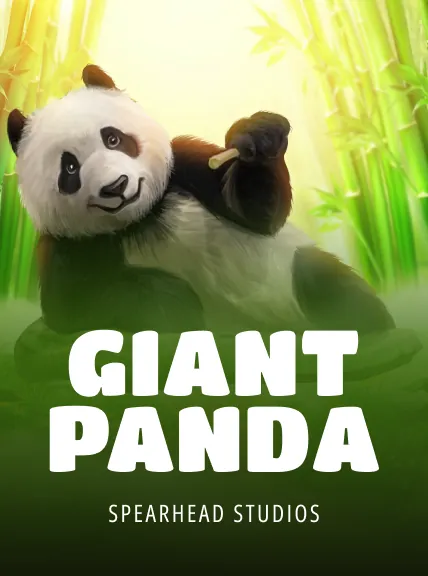 Giant Panda